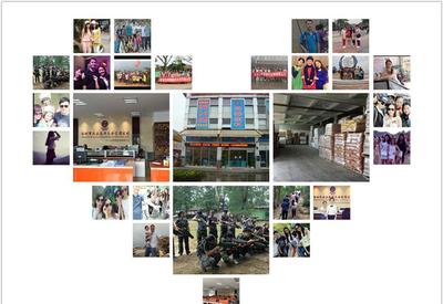 8G黃、8G熒光黃、5#綠、熒光黃8G等塑料熒光顏料 鞍山七彩惠豐標(biāo)準(zhǔn)詳解及市場采購指南